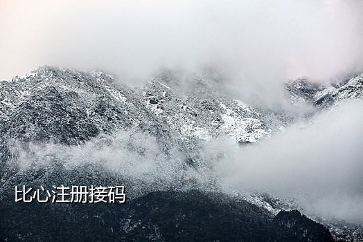 短信接码收费平台是真的吗