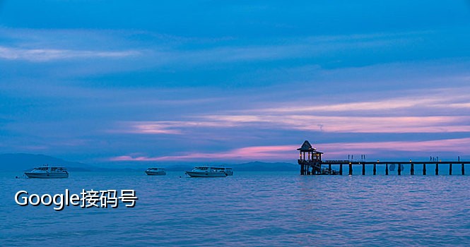 短信接码取号软件出售