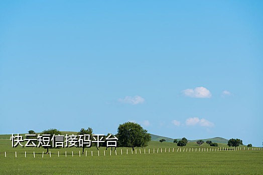 短信接码平台违法吗怎么处理