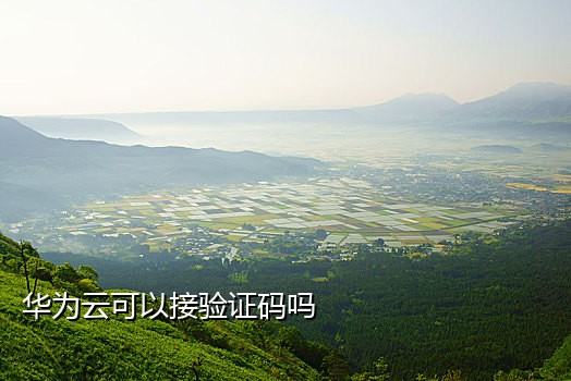 短信接码平台干嘛的