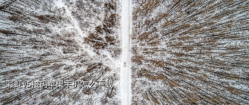 抖音项目接码平台