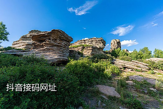 德国手机接码软件下载