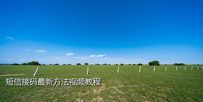 德芙云助手短信接码怎么用