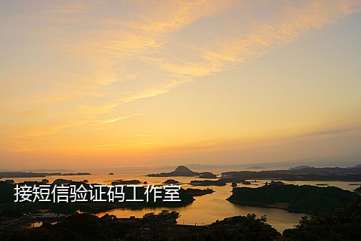 代接验证码的手机号