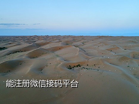 查手机号接码平台