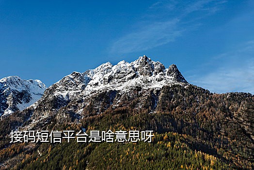 不收费接码平台手机版