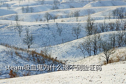 专属手机号云接码