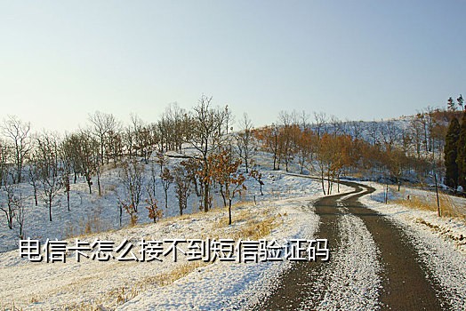 facebook为什么短信接不到验证码