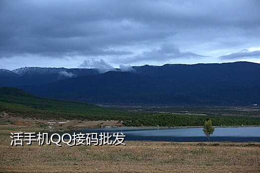 2021连信接码平台