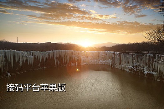 做任务探探接码安全吗