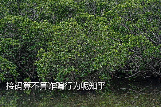 支付宝短信接码平台