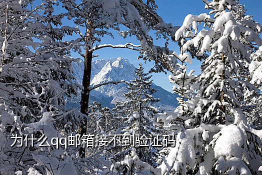 真实手机号接码