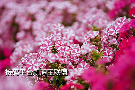 怎么接别人验证码短信信息