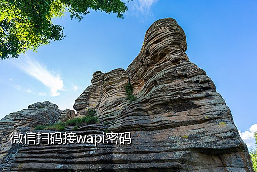 云短信在线接码链接不上