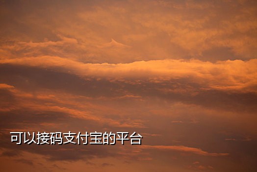 斑马云接码手机版