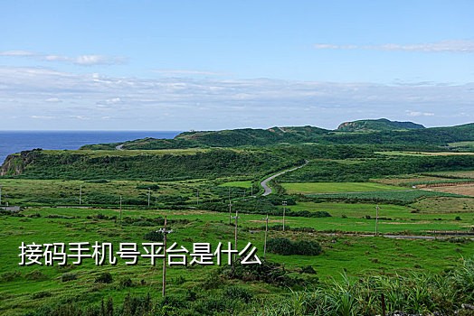 用短信接码违法吗