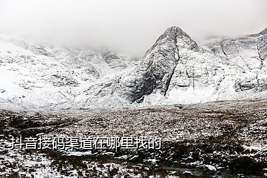斑马手机接码平台