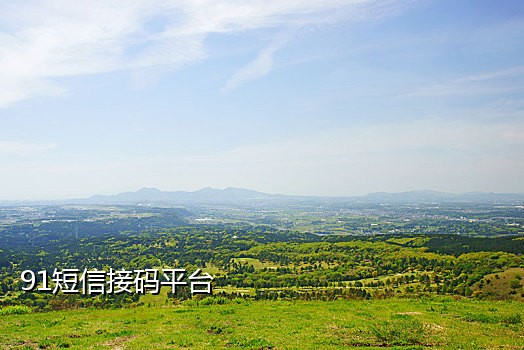 虚拟手机号可以重复接码吗