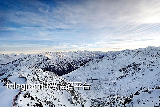 新加坡抖音接码