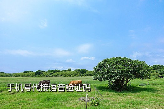 小米手机号接码