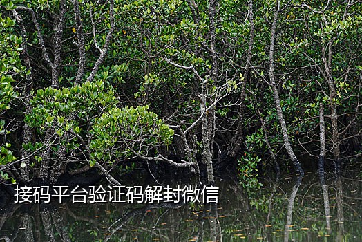 小米note3接不到验证码短信