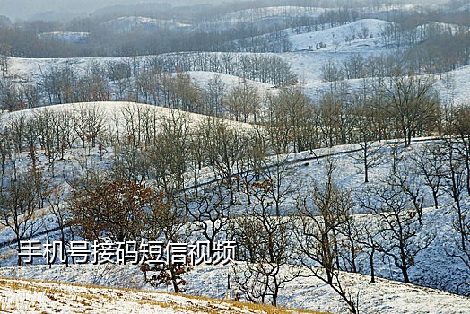 微信注册免费接码平台