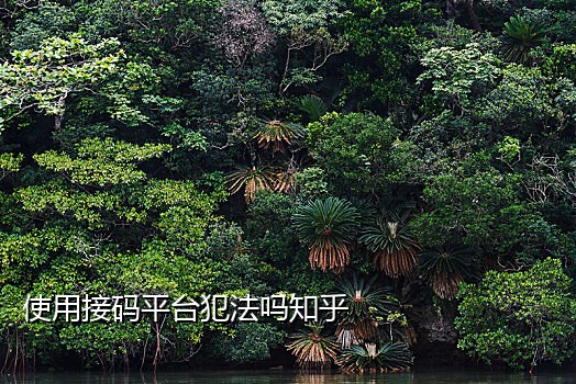 微信注册接码平台可以