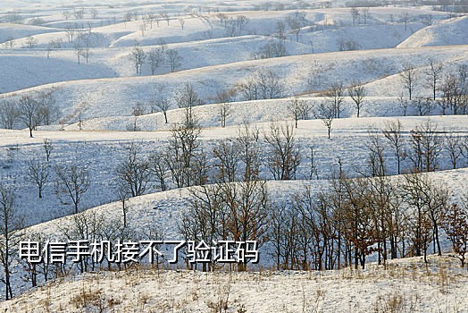 微信小程序接码可以多少次