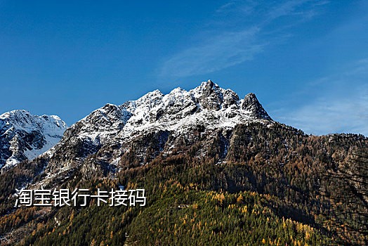 微信接语音不能扫码吗