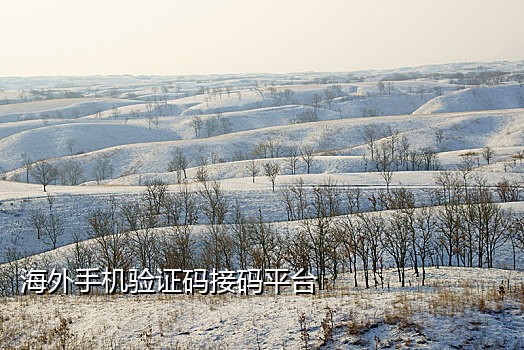 微信接码注册平台