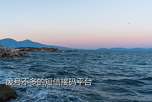 微博急速版接码