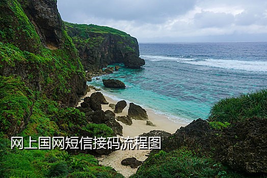 网易新闻接码平台官网下载