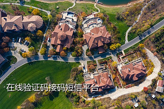 网页接码短信平台有哪些