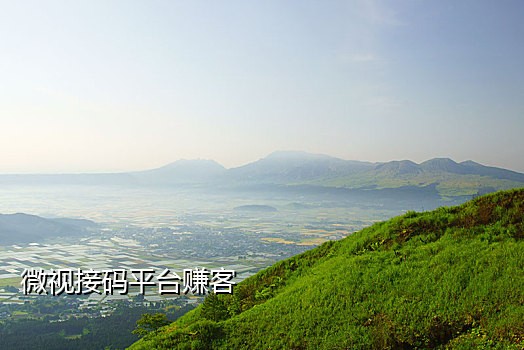 网上买手机号接码犯罪