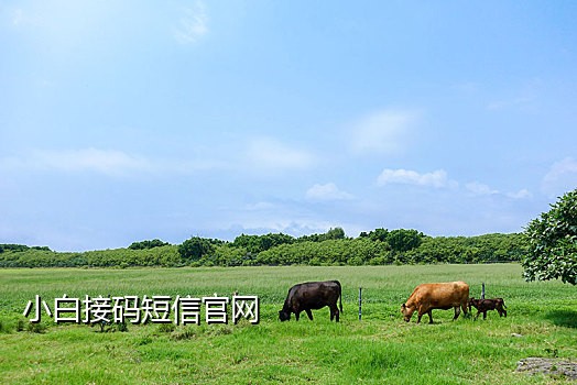 腾讯接码快手