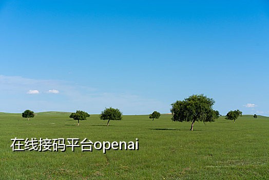 淘宝新用户接码平台