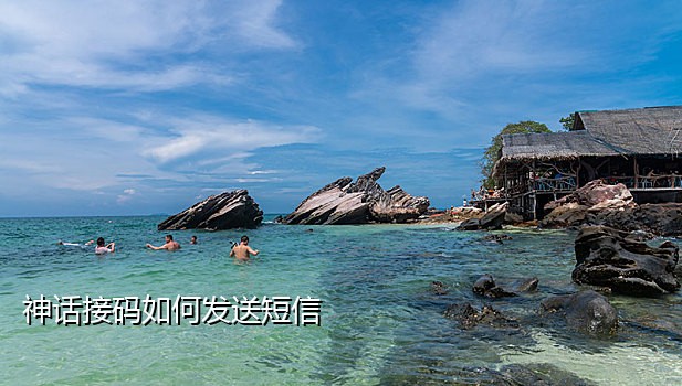 爱奇艺接码会员