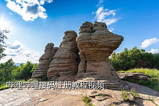 手机接码赚钱平台