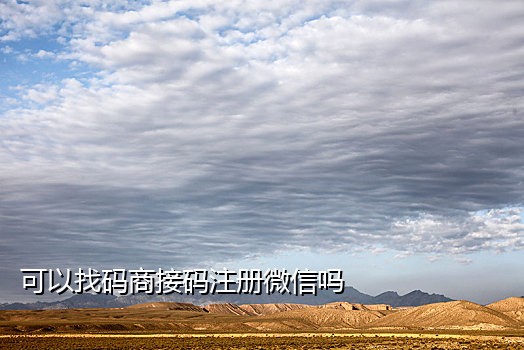 手机接码一机一码