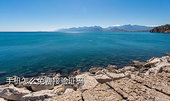 手机接码要多少钱