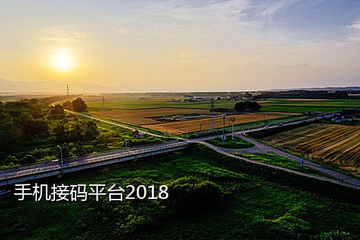 手机接码平台接口