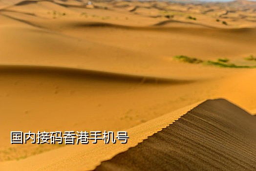 手机接码付费