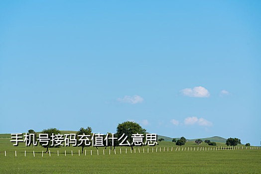 手机接不着信息验证码