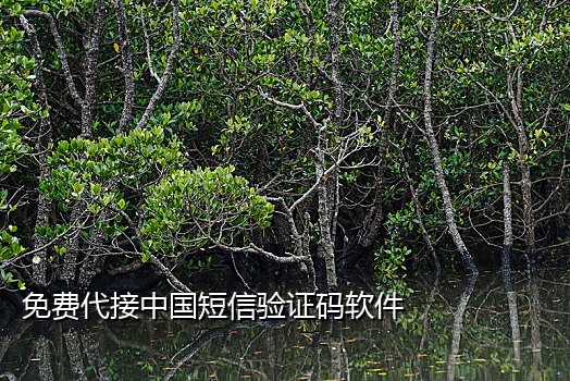 易码怎么接二次短信