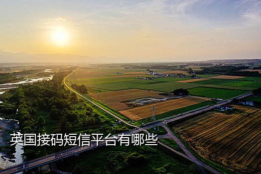 手机号接码犯法会判多久