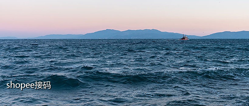 手机多米接码怎么收藏项目