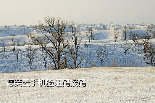 手机短信验证码接多了