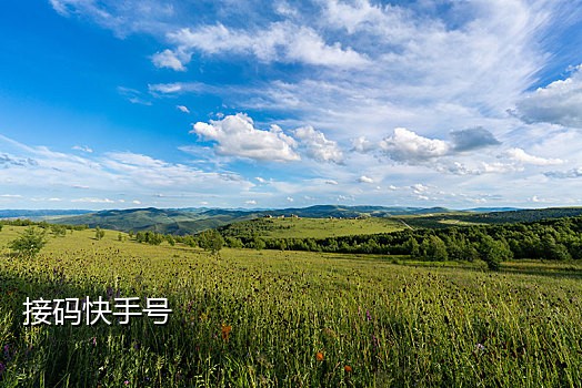手机短信接码注册