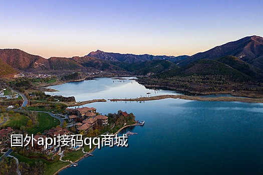 手机DZ接码