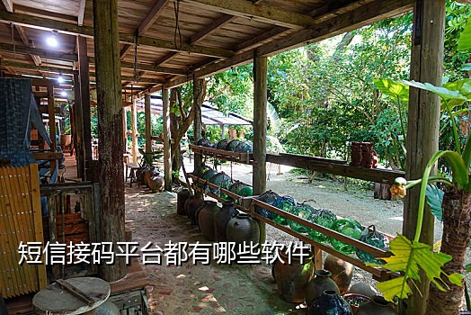 神话接码点发送短信吗?